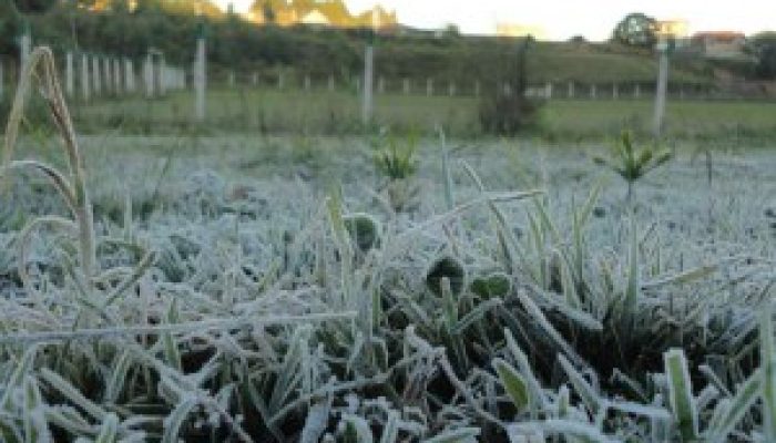 geada620x465-300x225