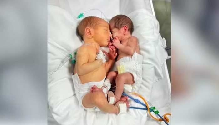 Foto: Hospital Ilha/Divulgação