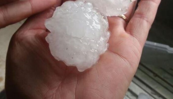 Foto: Bombeiros Voluntários de Igrejinha / Divulgação / CP