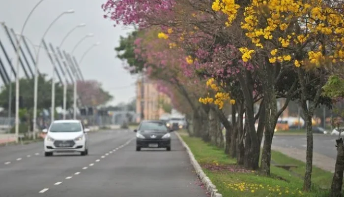 image - 2025-08-26T114633.511