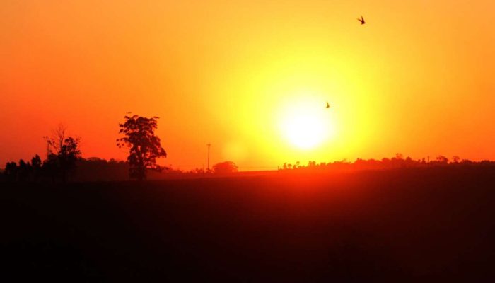 Foto: Inézio Machado/GES