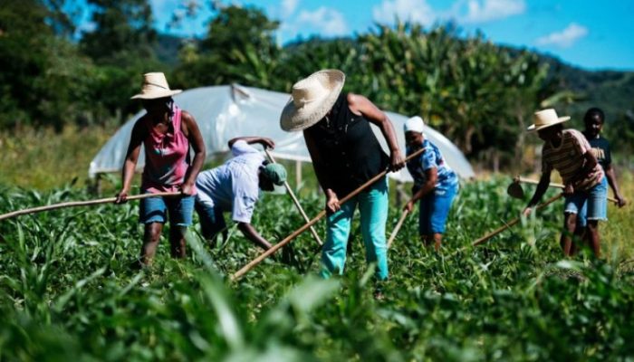 Auxílio emergencial de R$600 para agricultores familiares é aprovado no Senado