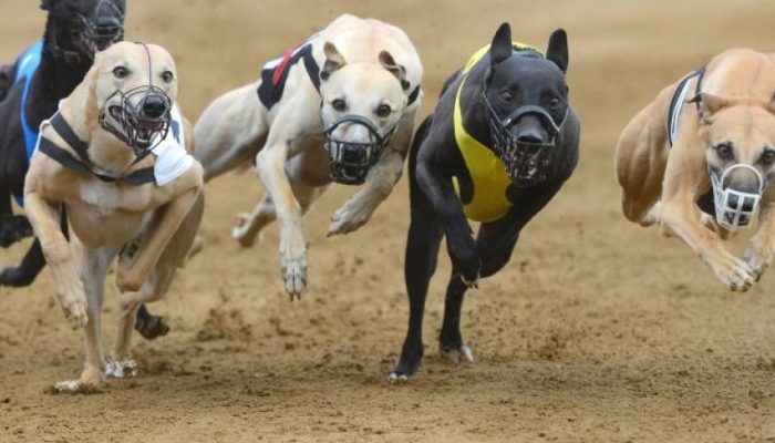 Imagem: Ilustrativa | Foto: Divulgação