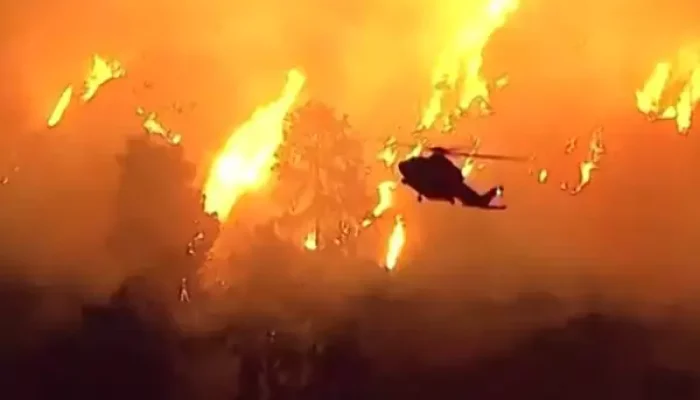 Foto: Reprodução de vídeo