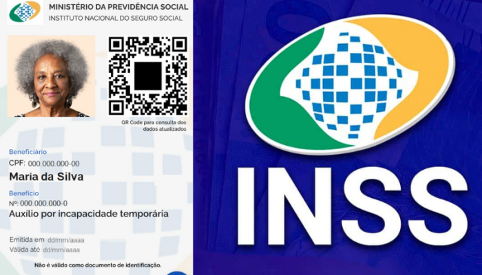 inss-virt