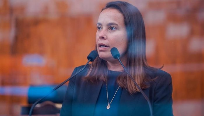 Foto: Joel Vargas/Agência ALRS