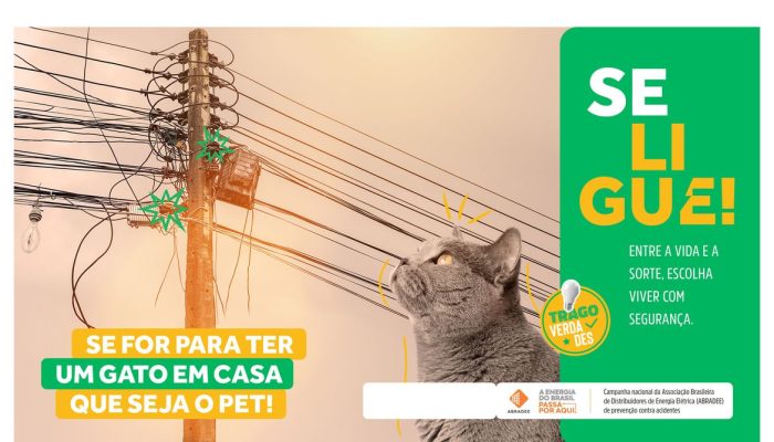 Brasília/DF, 12/07/2023, CAMPANHA NACIONAL FAZ ALERTA PARA ACIDENTES COM A REDE ELÉTRICA. Foto: ABRADEE/Divulgação