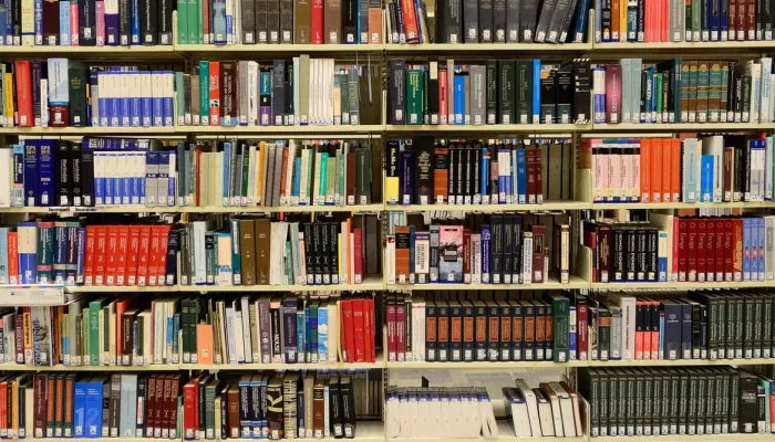 Foto: ElasticComputeFarm/Pixabay