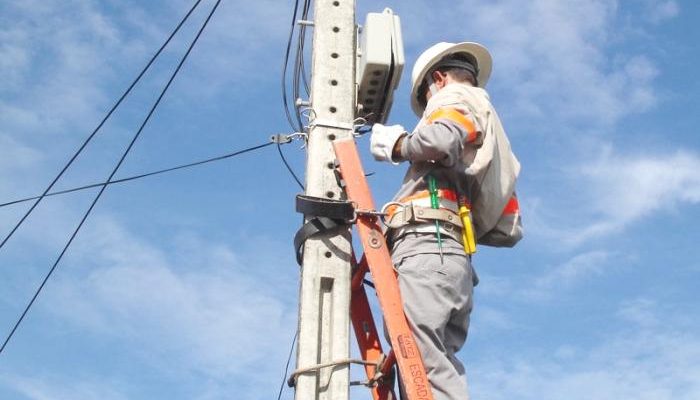 maior_RGE_01_Reproduo