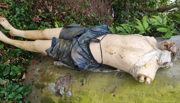Foto: Divulgação Bombeiros