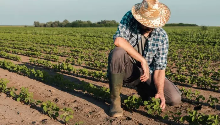 Foto: Arquivo/Ministério da Agricultura