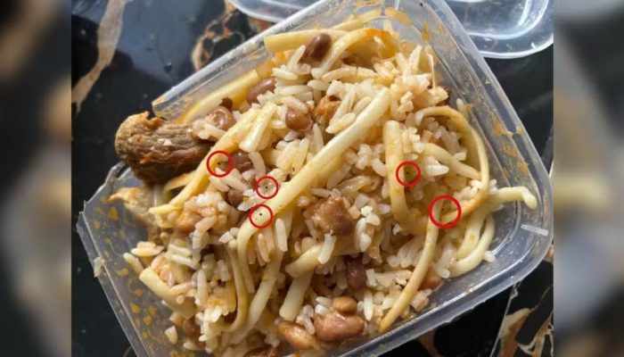 Foto: Polícia Civil/Divulgação