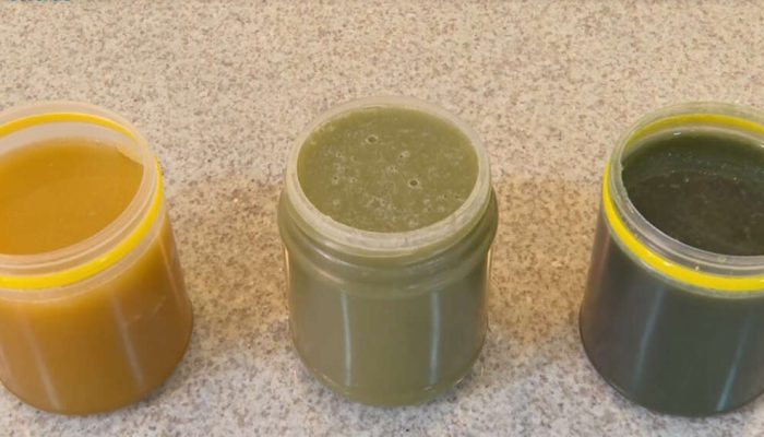 Imagem: Divulgação