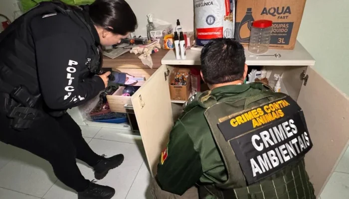 Foto : Miguel Noronha / Polícia Civil