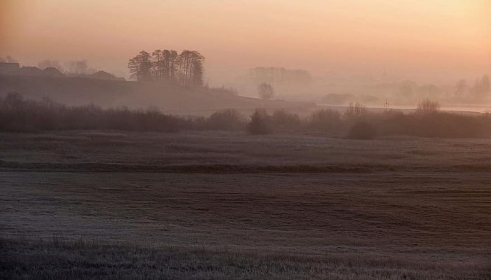 Foto: Pikist/Divulgação