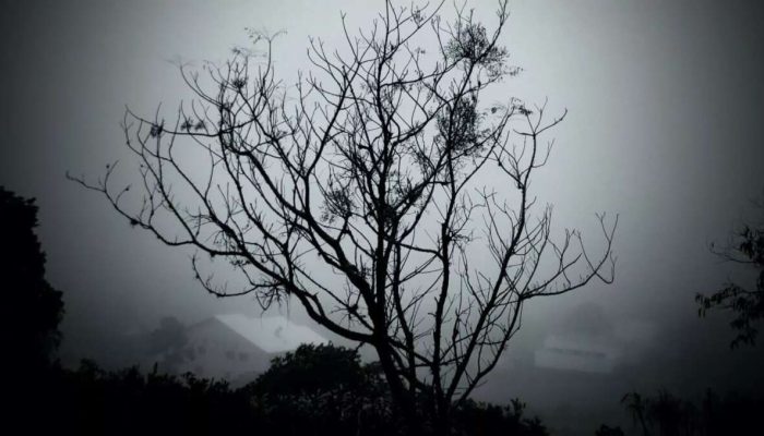 Nevoeiro com elevada umidade cobrindo a cidade de Capela de Santana nesta sexta-feira que foi mais um dia de tempo instável e índices altíssimos de umidade relativa do ar no Rio Grande do Sul | MÁRCIO STORCH