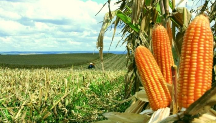 not_20171224585467238