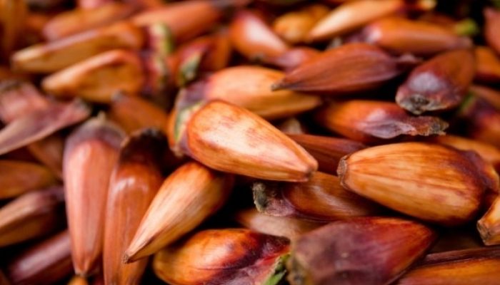 not_20180423978461637