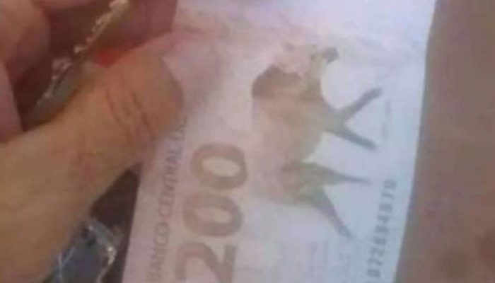 Foto/Reprodução