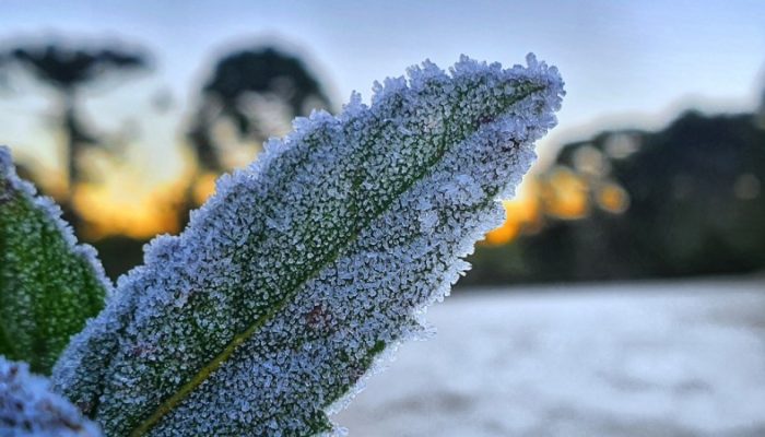 Imagem: Divulgação