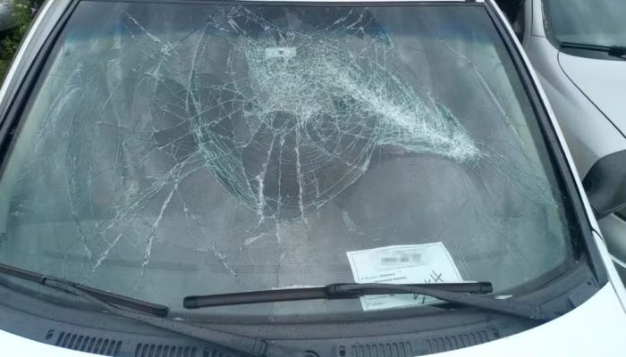 Foto: Divulgação/Polícia Civil