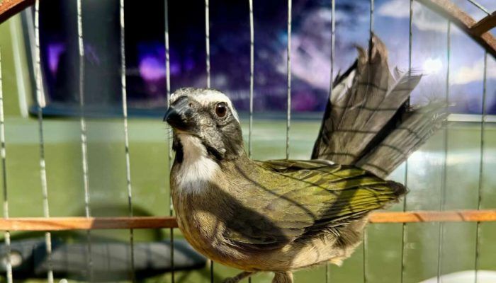 Foto: 3°BABM | Passo Fundo