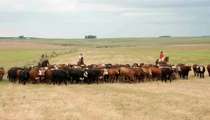 Foto: Fernando Dias / Seapi / Divulgação / CP