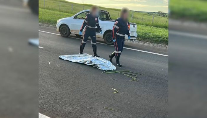 Foto: Conecta Bauru/Reprodução