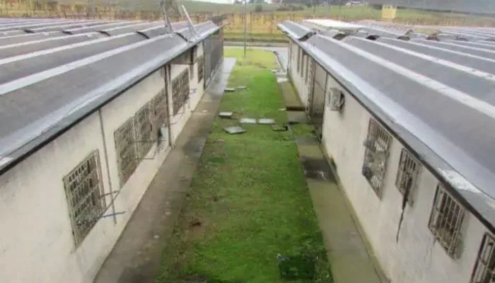 Foto: MP/Divulgação