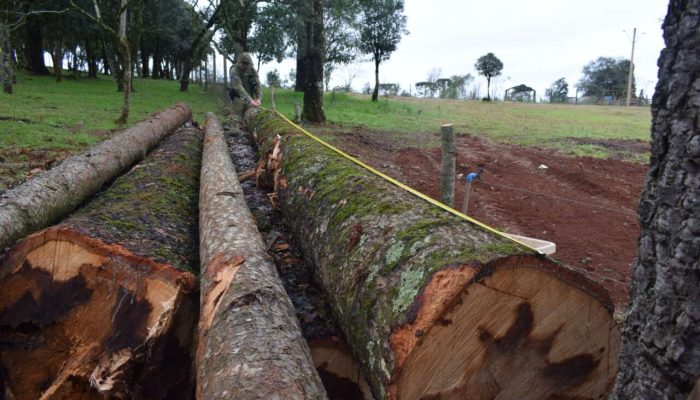 Foto: Divulgação BM