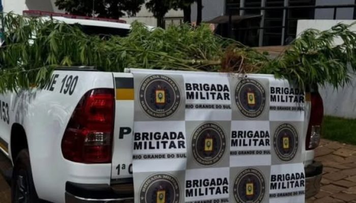 Foto:  Diego Camargo / Portal Tchê