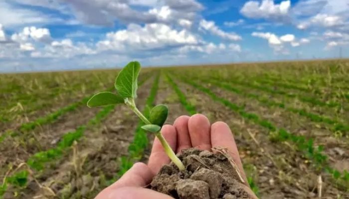 plantio-da-soja-1-640x480-1