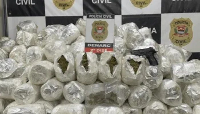 policia-civil-apreende-super-maconha-em-sao-paulo-75050_400x300