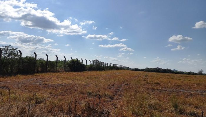 Foto: Arquivo | Diário