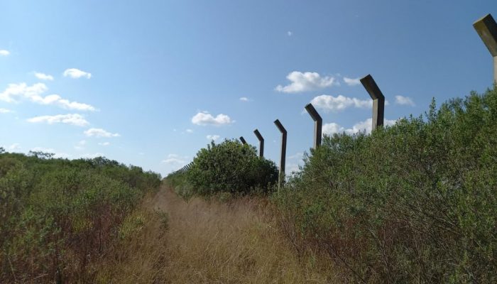 presidio-feminino-3_Easy-Resize.com_-1024x576