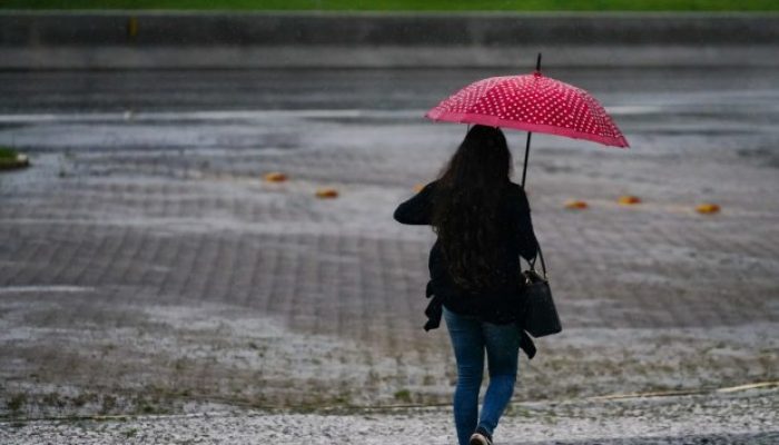 Foto: Ricardo Wolffenbüttel/Secom