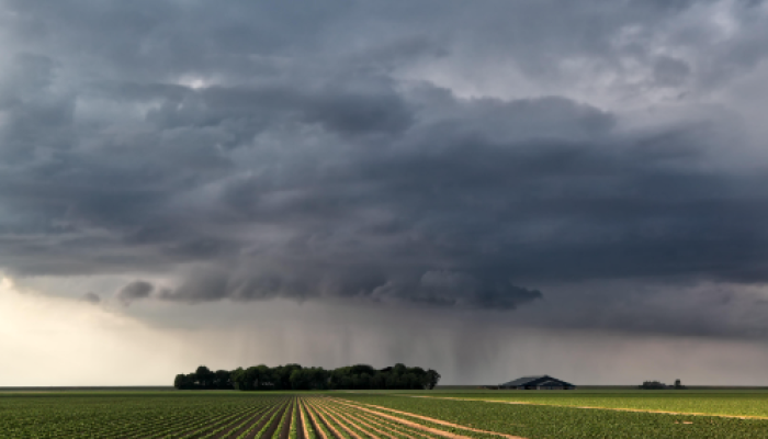 regthyjukiujyhtrewrtytuytrtry