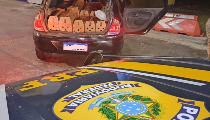 Foto: Divulgação PRF