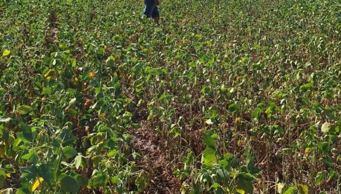 Foto: reprodução Rede Social