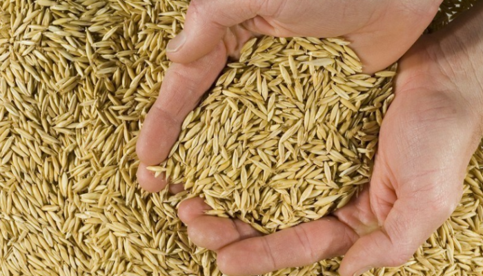 Imagem Ilustrativa | Foto: Divulgação