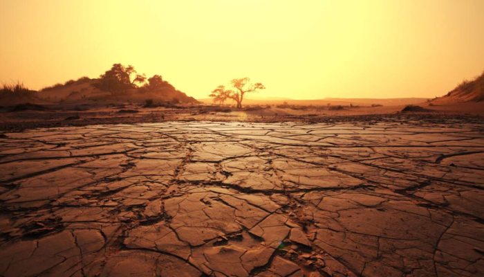 Drought land