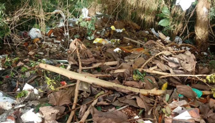 wefwefwefwewefsdvsdvsdvszxxxasx