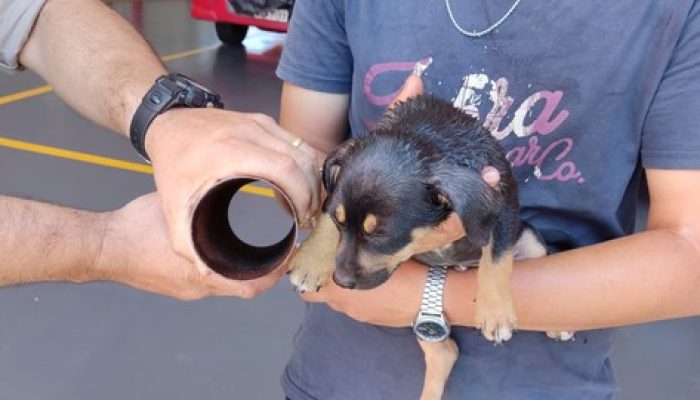 whatsapp-image-2021-12-08-at-10.40.01